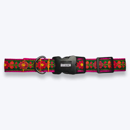 Emerald Glow Dog Collar & Leash