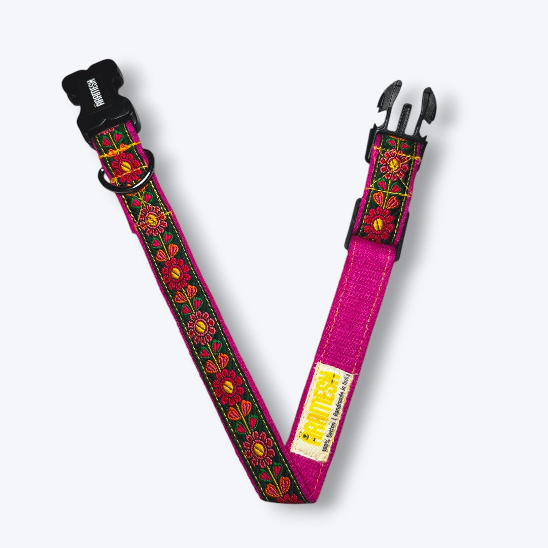 Emerald Glow Dog Collar & Leash
