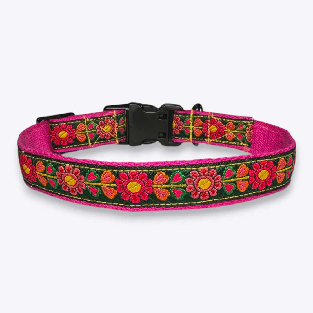 Emerald Glow Dog Collar & Leash