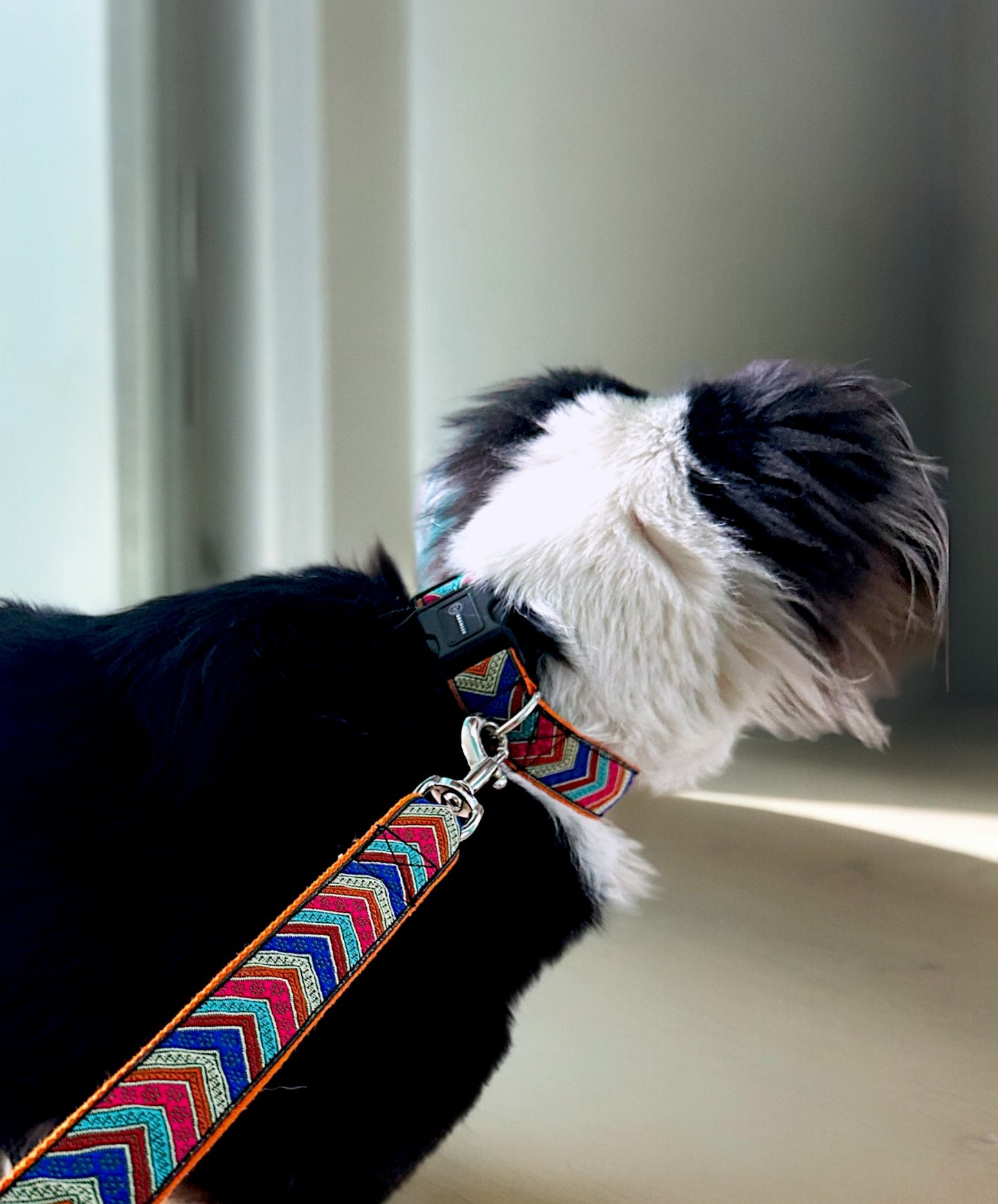 KaleidoK9 Dog Leash