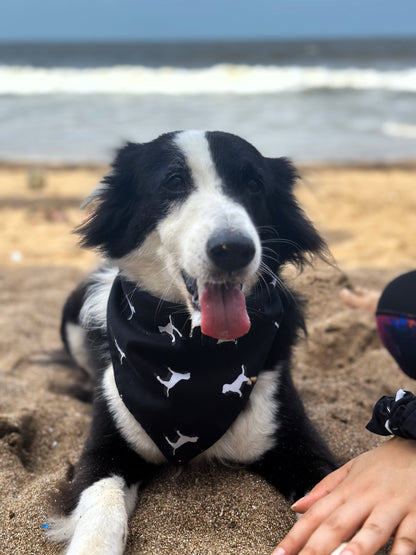 Midnight Bark Dog Bandana