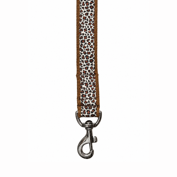 The Chase Dog Leash