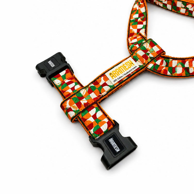 Azaadi Body Belt