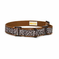 Martingale Dog Collar: The Chase
