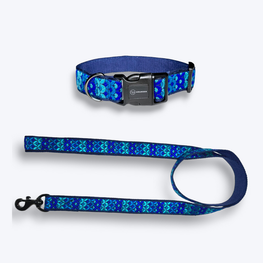 Skywave Dog Collar & Leash