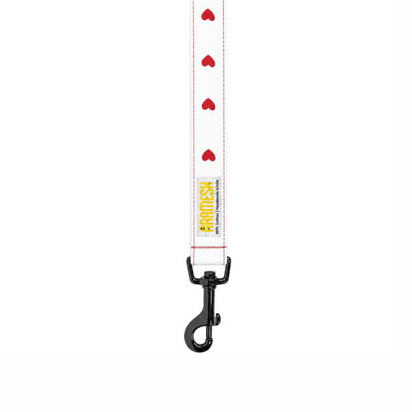 XO Dog Leash