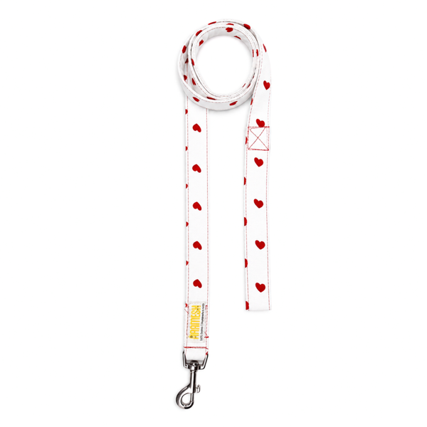 XO Dog Leash