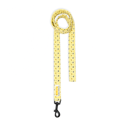 Honey Swirl Leash