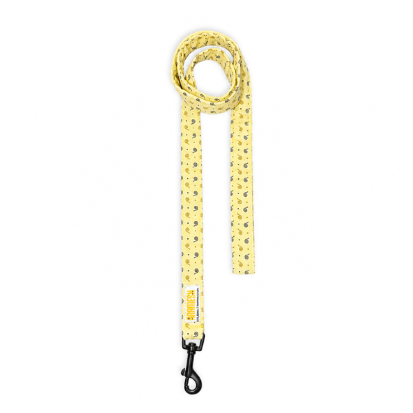 Honey Swirl Leash