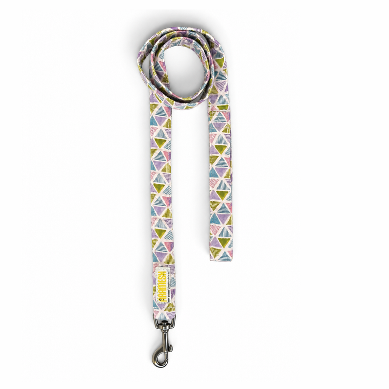 Play Date Dog Collar & Leash