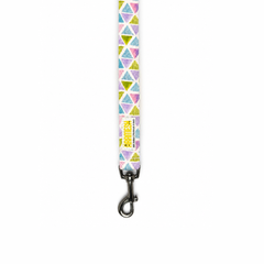 Play Date Dog Collar & Leash