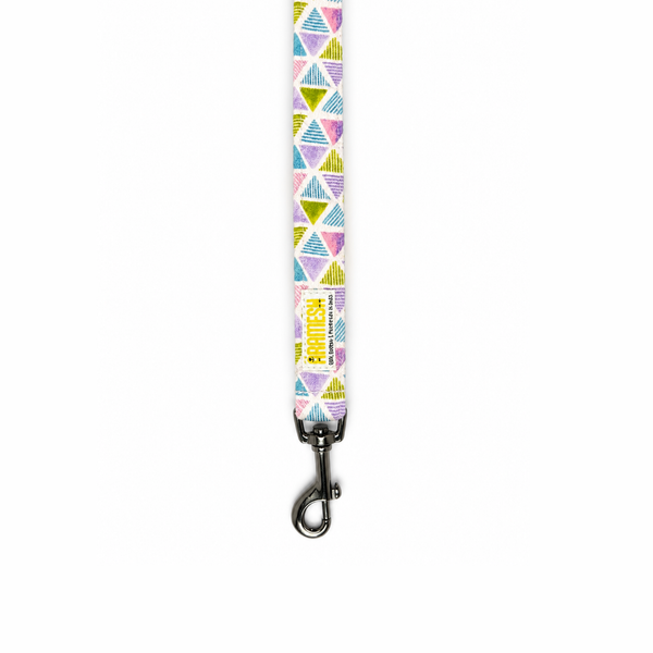 Play Date Dog Collar & Leash