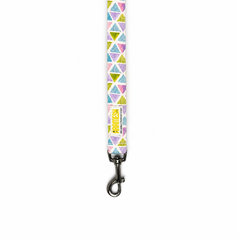Play Date Dog Collar & Leash