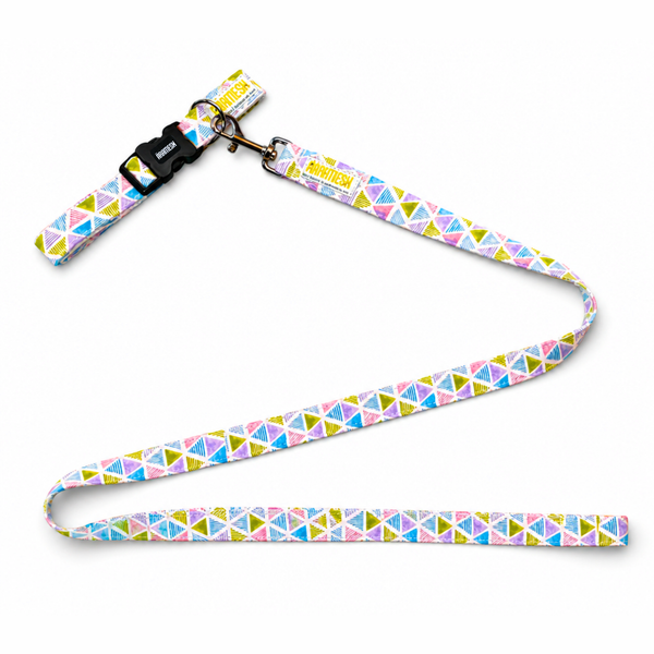 Play Date Dog Collar & Leash