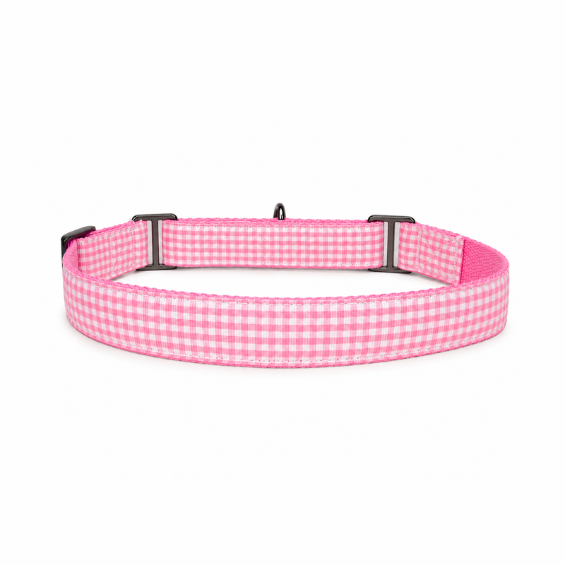 Martingale Dog Collar: Cotton Candy