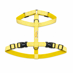 Lemonade Body Belt