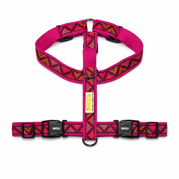 Gulaal Body Belt