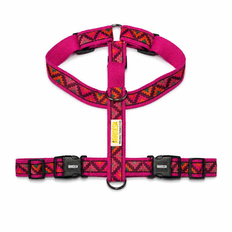 Gulaal Body Belt