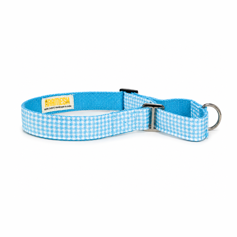 Martingale Dog Collar: Skywater
