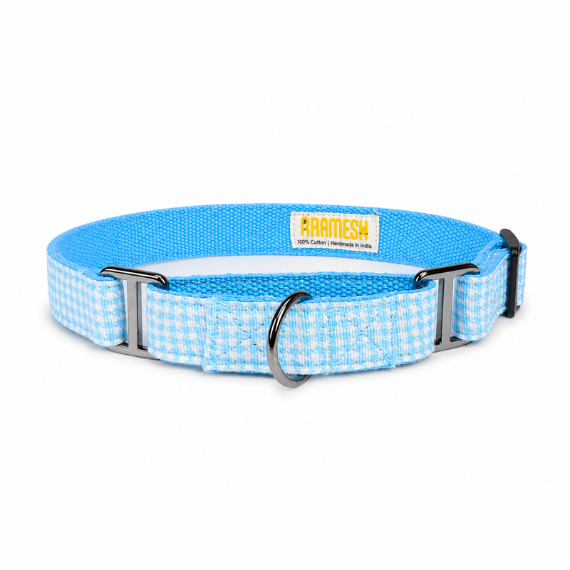 Martingale Dog Collar: Skywater