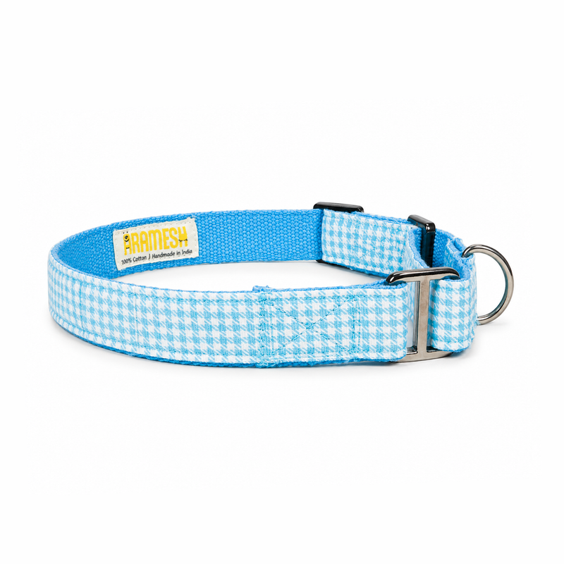 Martingale Dog Collar: Skywater