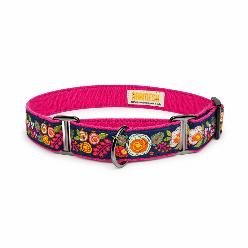 Martingale Dog Collar: Gulzaar