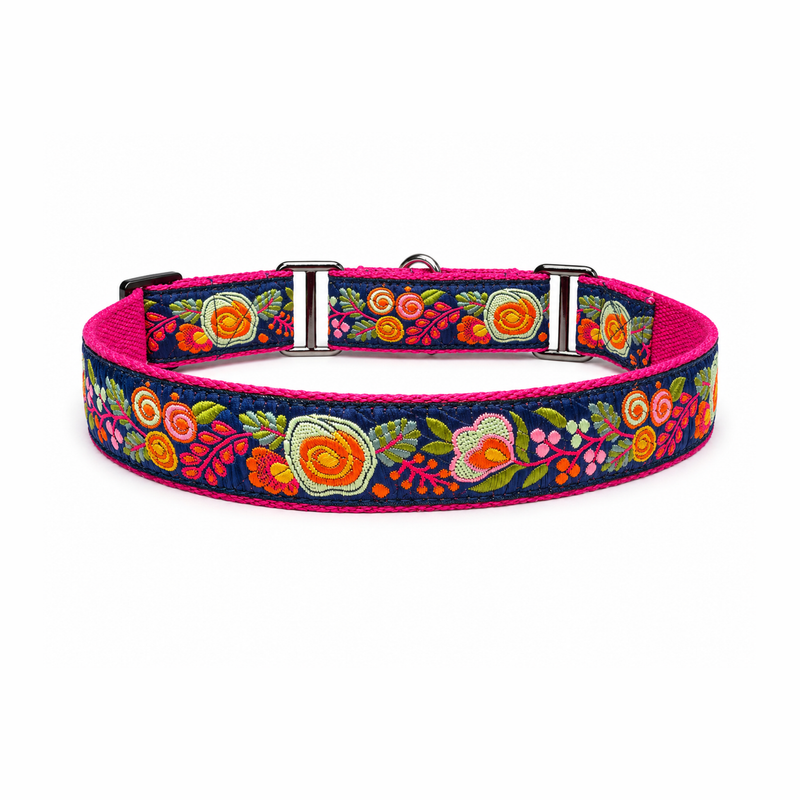 Martingale Dog Collar: Gulzaar