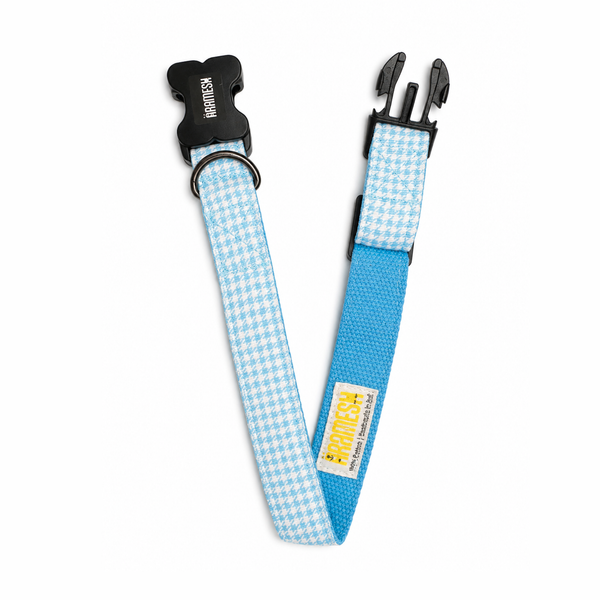Skywater Dog Collar