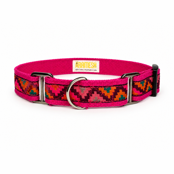 Martingale Dog Collar:  Gulaal