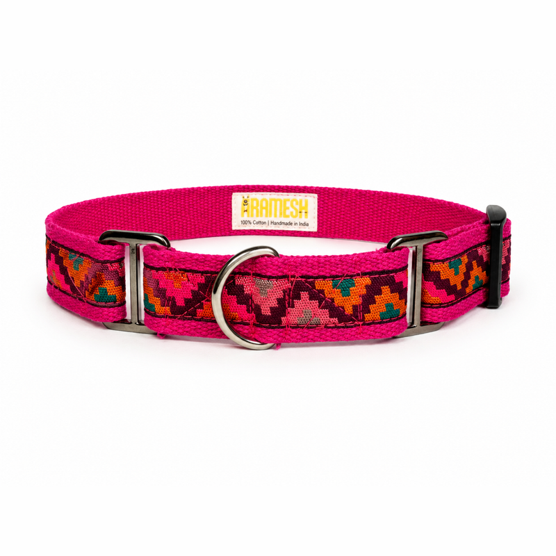 Martingale Dog Collar:  Gulaal