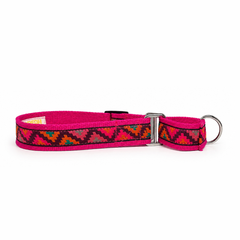 Martingale Dog Collar:  Gulaal
