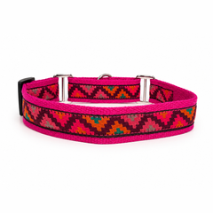 Martingale Dog Collar:  Gulaal