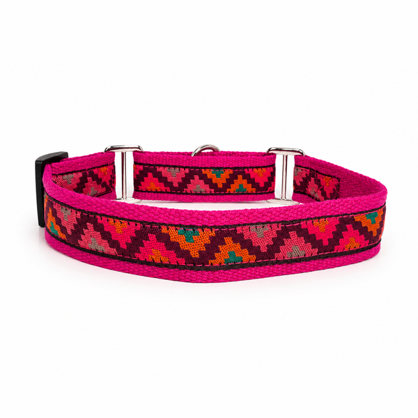 Martingale Dog Collar:  Gulaal