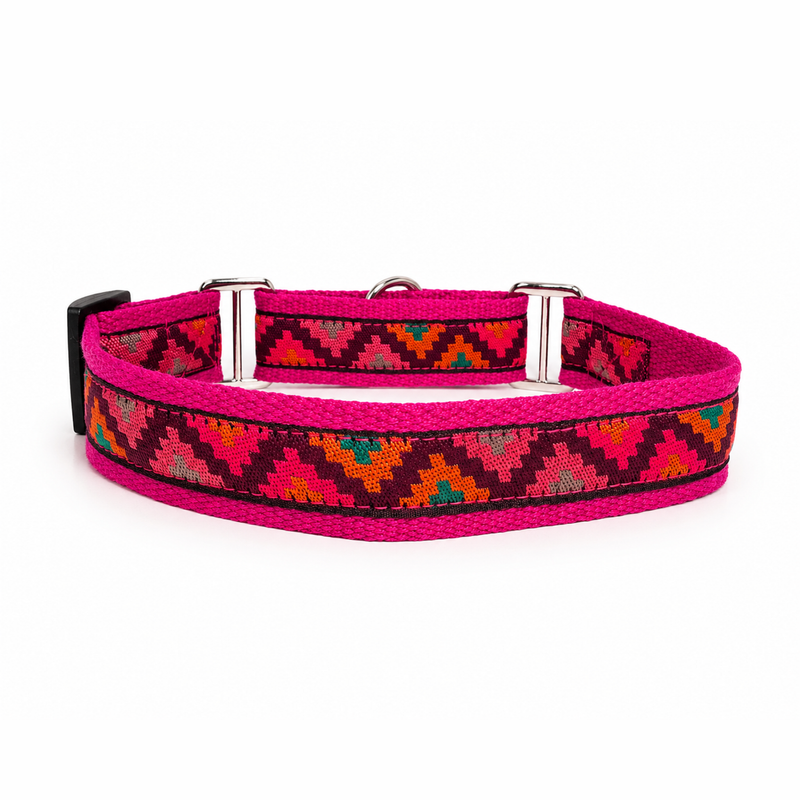 Martingale Dog Collar:  Gulaal