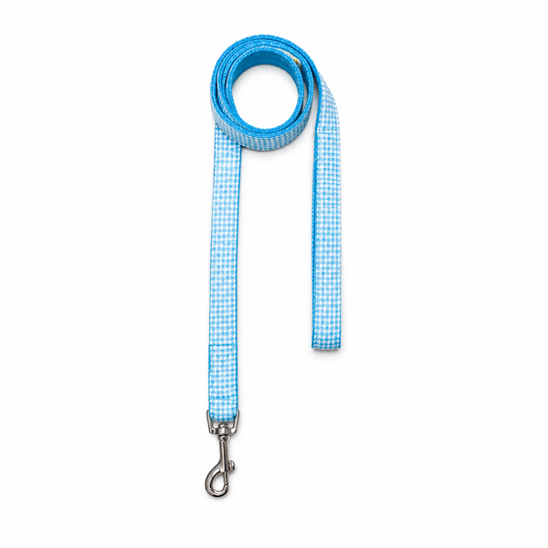 Skywater Dog Collar & Leash