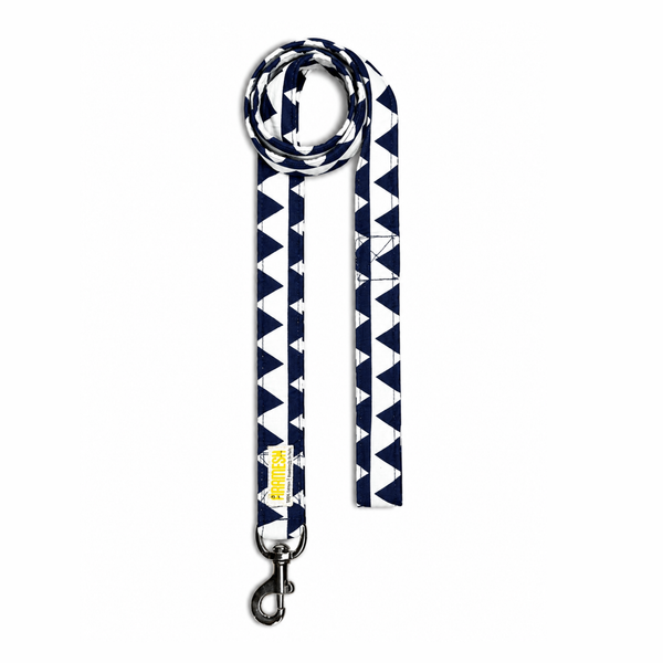 Ocean Edge Dog Leash