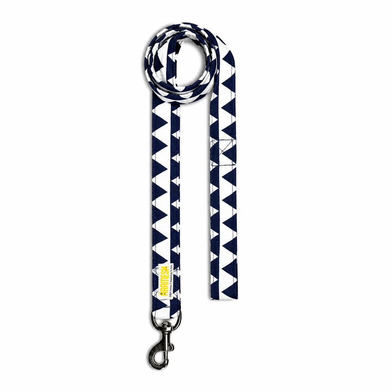 Ocean Edge Dog Leash