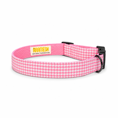 Cotton Candy Dog Collar