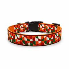 Azaadi Dog Collar & Leash