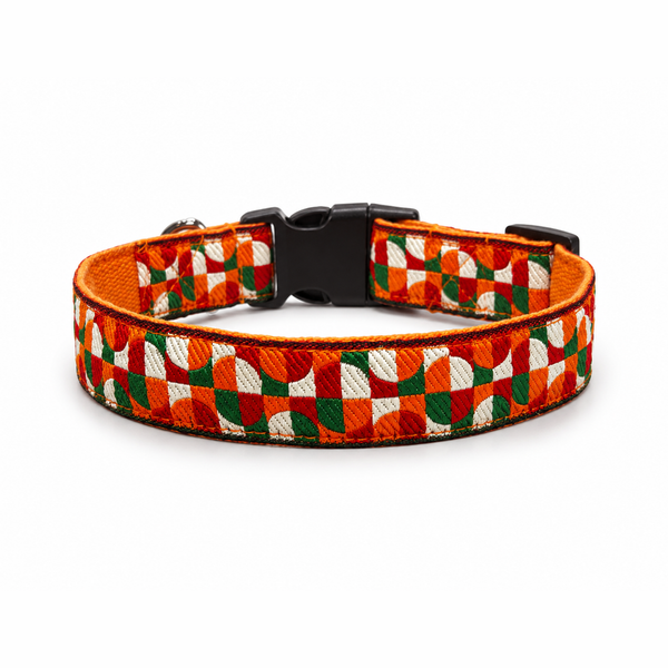 Azaadi Dog Collar