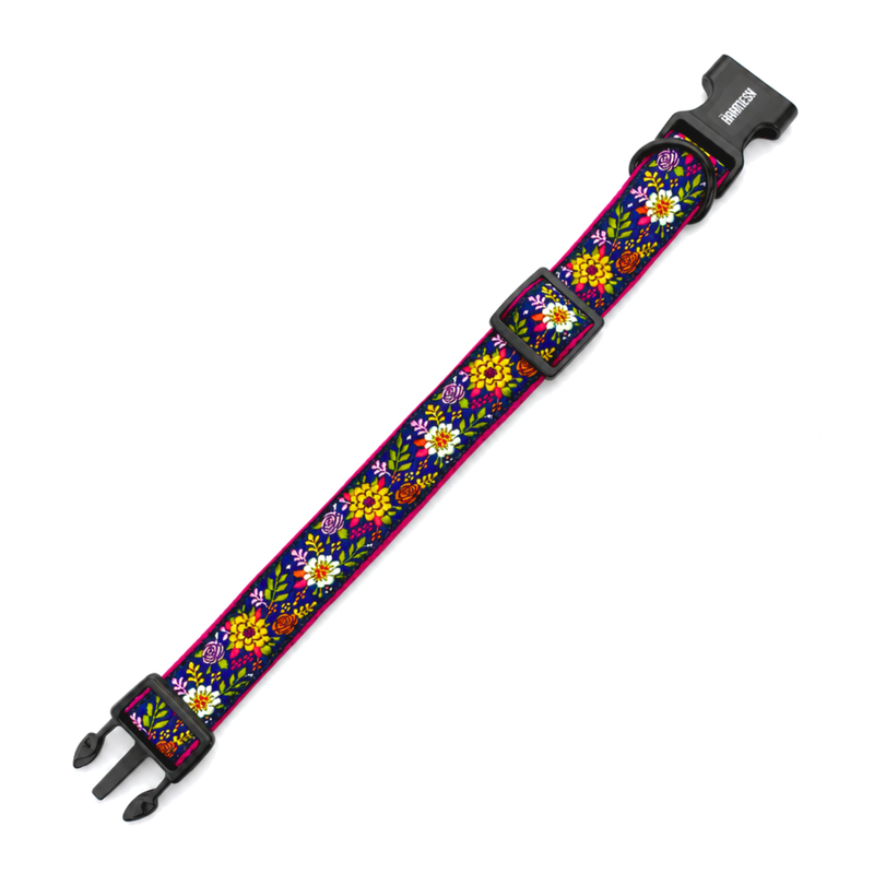 Coastal Bloom Dog Collar