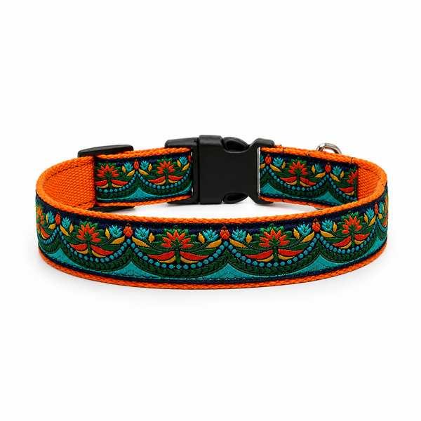 Fire & Ice Dog Collar