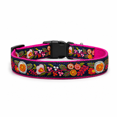 Gulzaar Dog Collar