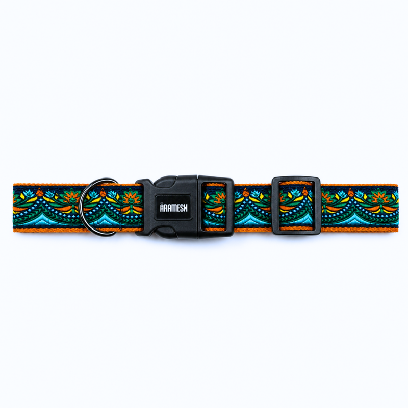 Fire & Ice Dog Collar