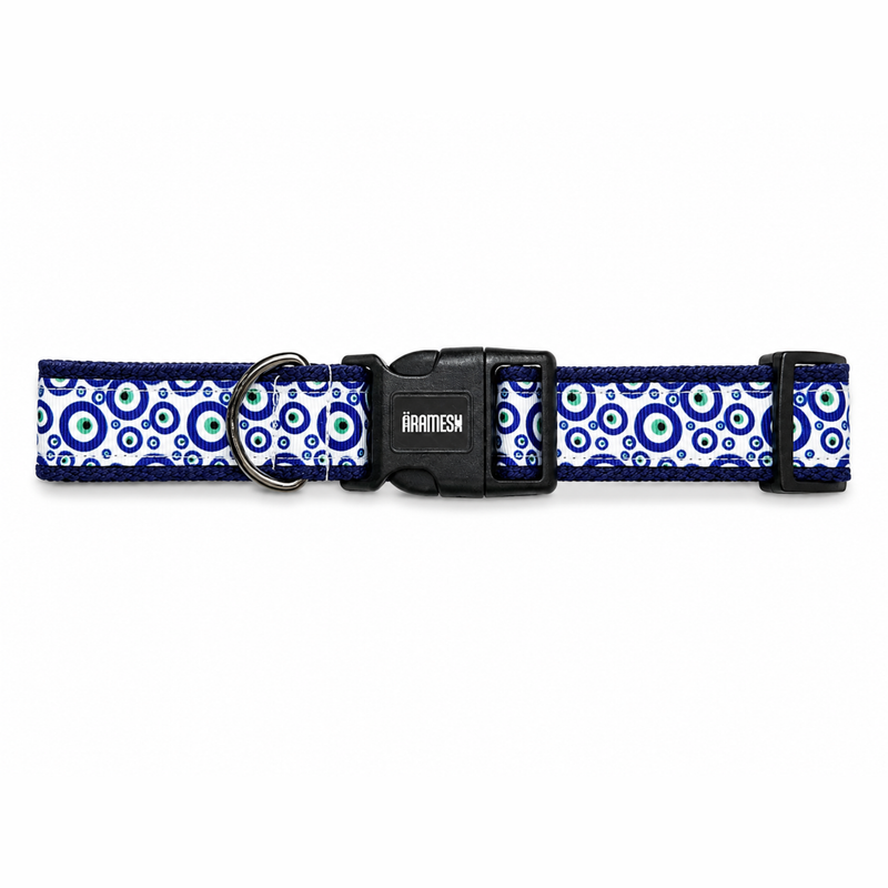 Nazar Charm Dog Collar & Leash