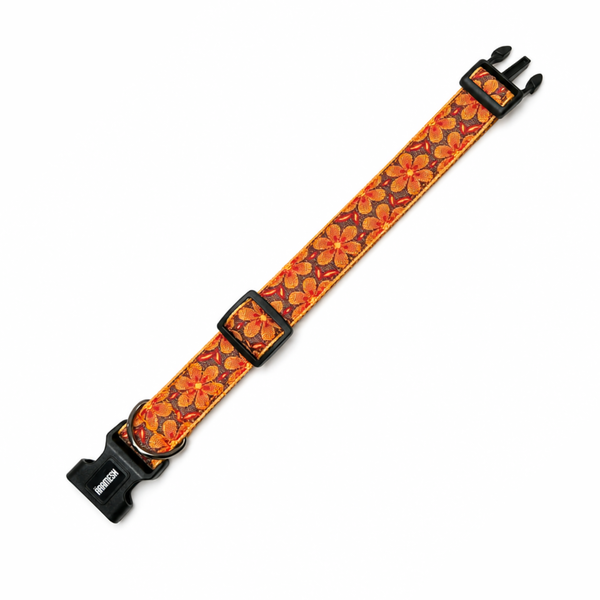 Mehfil Festive Dog Collar