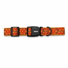 Mehfil Dog Collar & Leash