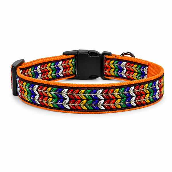 Colourful Trails Dog Collar