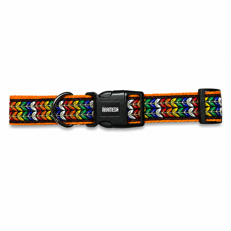 Colourful Trails Dog Collar