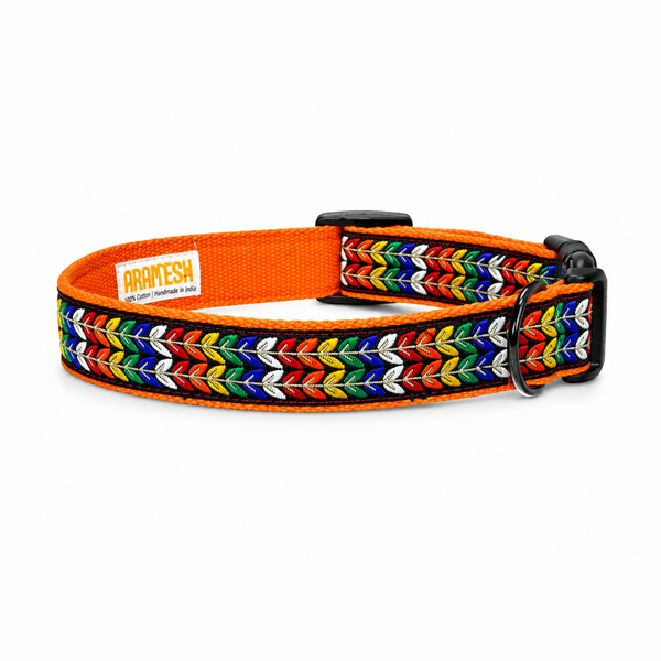 Colourful Trails Dog Collar & Leash